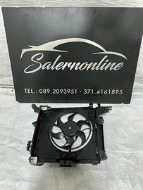 Ventola radiatori Smart 451