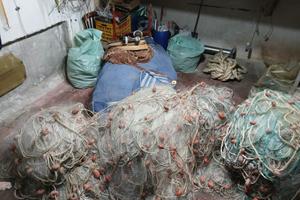 Lacciare di peloverme