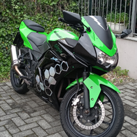 Kawasaki ninja 250r