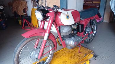 Beta 175 mercurio 