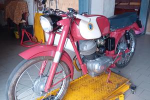 Beta 175 mercurio 