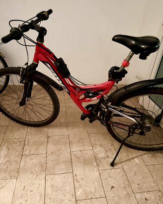 Mountain Bike ruote da 26 “ 21 rapporti