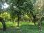 Immagine 9