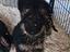 Immagine 6
