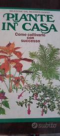 Piante in casa,libro cartonato 