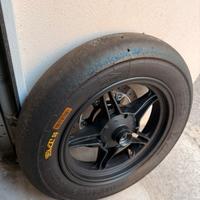 GOMMA PMT 12”