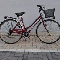 bicicletta ruote da 28