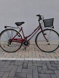 bicicletta ruote da 28