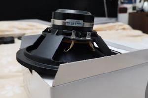 coppia CIARE 8.50 NDW  neodymio ! 20 cm.