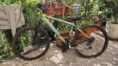 Bicicletta