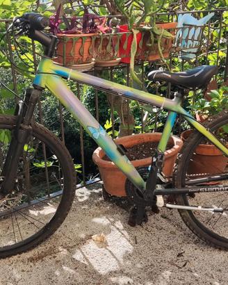 Bicicletta