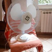 Ventilatore da tavolo - 1 mese di vita