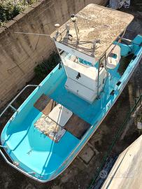 Boston Whaler 17