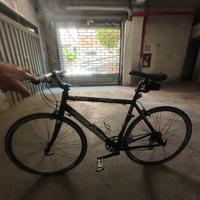 Bici sportiva
