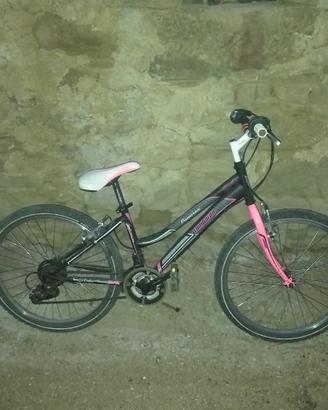 bicicletta