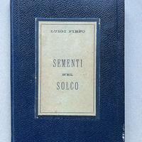 Sementi nel Solco  di Luigi Firpo