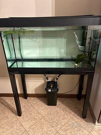 Aquario  200lt