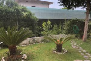 Casa semi dipendente Piano Mommio /Massarosa(LU)