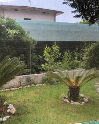 Casa semi dipendente Piano Mommio /Massarosa(LU)