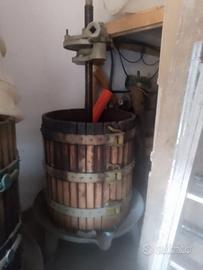 Torchio uva