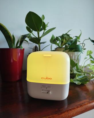 Diffusore di oli essenziali 
