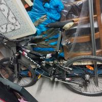 MTB 24