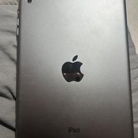 iPad mini