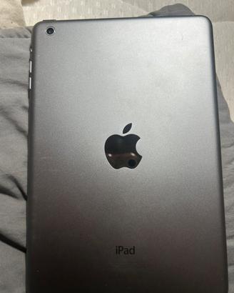 iPad mini