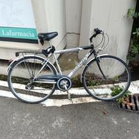 bici da uomo
