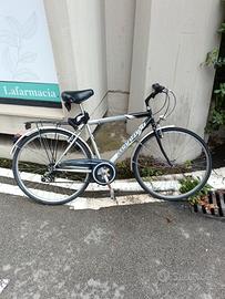 bici da uomo