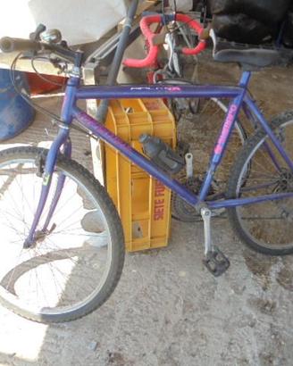 Mountan bike colore viola shimano