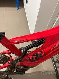 Specialized 29l carbonio