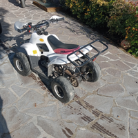 Quad lem motors bambino 110
