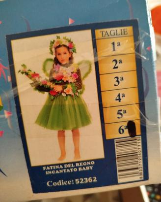 vestito Carnevale 