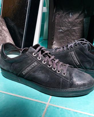 Sneakers Cesare Paciotti uomo originali