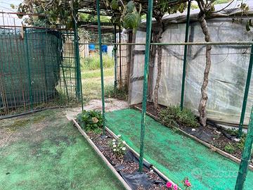 Terreno Settimo T.se