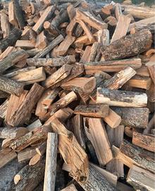 legna da ardere secca 