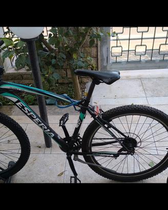Mountain-bike 