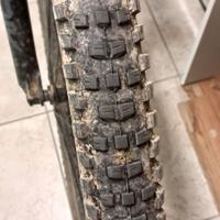 bontrader x4r copertone