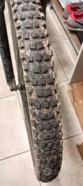 bontrader x4r copertone