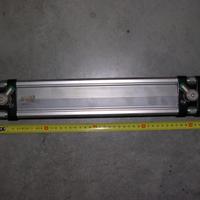 Pistone azionamento pneumatico Pneumax