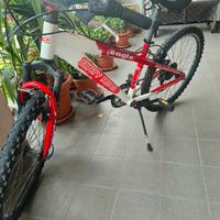 bicicletta mtb