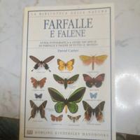 farfalle e falene 