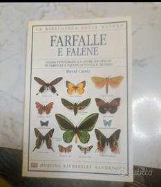 farfalle e falene 