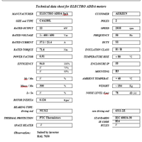 MOTORE ELETTRICO TRIFASE 22 kW