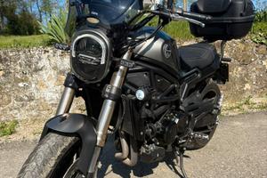 Benelli Leoncino 800