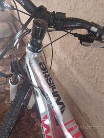 Bici  lega leggera