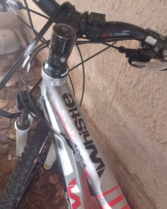 Bici  lega leggera