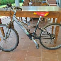 Bicicletta bambino