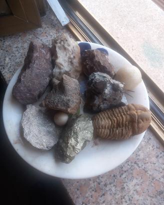 minerali ed + fossile